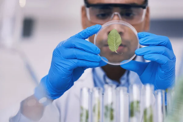 Science Plante Plat Homme Avec Éprouvette Laboratoire Recherche Réflexion Médecine — Photo