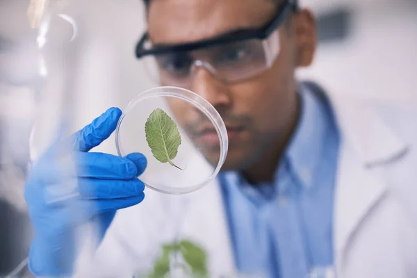Nauka Roślina Naczyniu Człowiek Laboratorium Badania Myślenie Wzrostem Medycynie Naturalnej — Zdjęcie stockowe