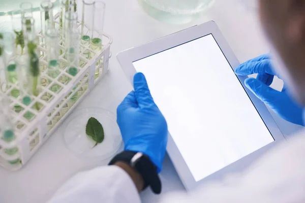 Επιστήμονας Φυτά Και Mockup Στην Οθόνη Tablet Στο Εργαστήριο Για — Φωτογραφία Αρχείου