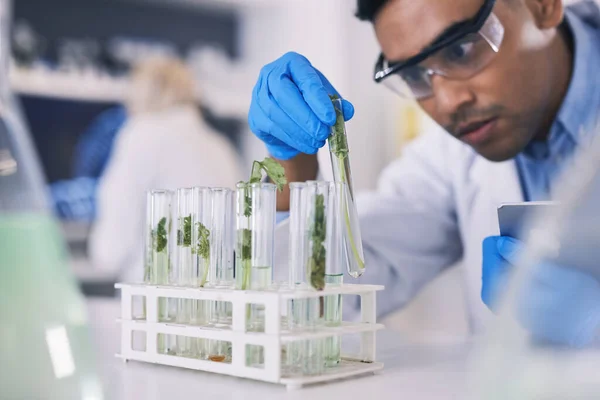 Science Plantes Homme Avec Éprouvette Laboratoire Recherche Réflexion Médecine Naturelle — Photo