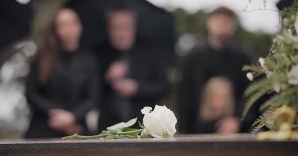 Rose Ataúd Funeral Cementerio Aire Libre Ceremonia Entierro Familia Juntos — Vídeos de Stock