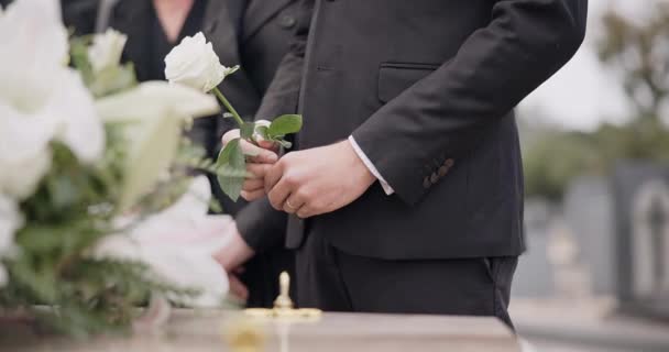 Main Rose Une Personne Des Funérailles Dans Cimetière Deuil Tout — Video