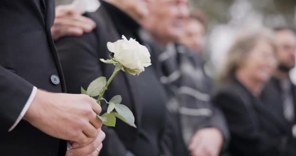 Mãos Rosa Uma Pessoa Funeral Cemitério Pena Enquanto Luto Perda — Vídeo de Stock