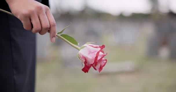 Muerte Cementerio Manos Persona Con Flor Para Conmemoración Ceremonia Servicio — Vídeos de Stock