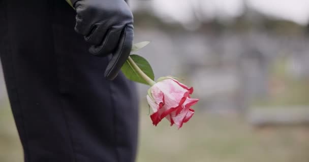 Funeral Cemetery Hands Person Flower Remembrance Ceremony Memorial Service Depression — Stock Video