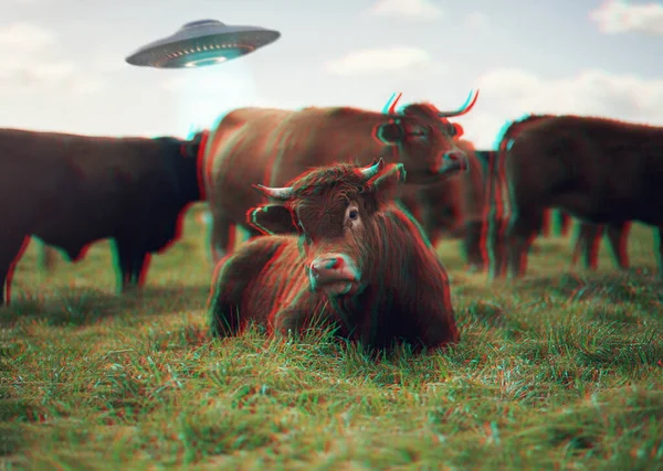 Ufo Futurista Nave Espacial Com Vaca Fazenda Para Ficção Científica — Fotografia de Stock