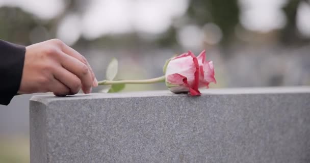 Beerdigung Friedhof Und Hände Mit Rose Auf Grabstein Für Gedenken — Stockvideo
