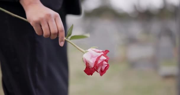 Funeral Cemetery Hands Person Rose Remembrance Ceremony Memorial Service Depression — Stock Video