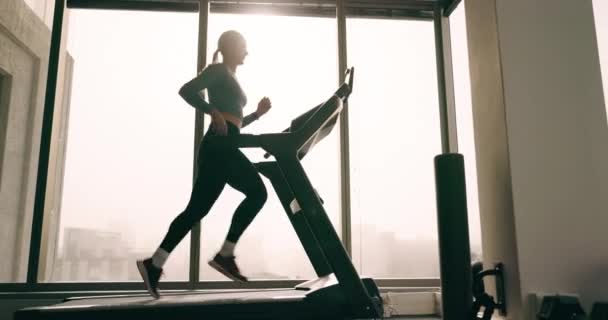 Gimnasio Saludable Mujer Corriendo Máquina Cinta Correr Entrenamiento Agilidad Ejercicio — Vídeos de Stock