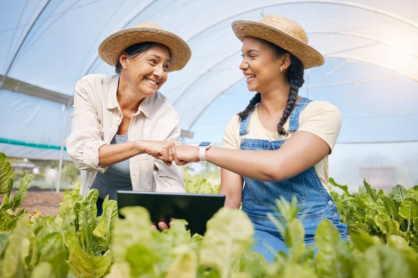 Úspěch Zemědělství Týmová Práce Tabletem Skleníku Pro Rostliny Nebo Udržitelnost — Stock fotografie