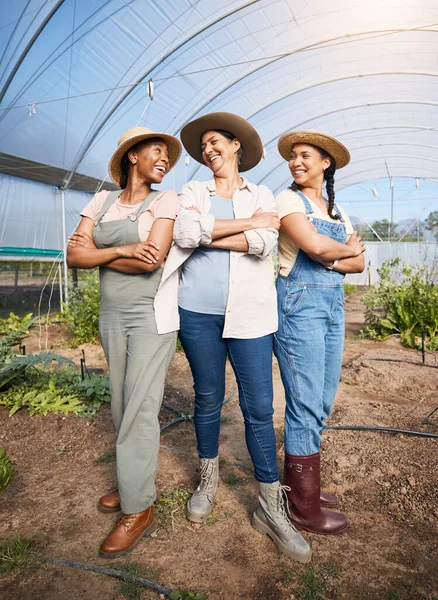Farming, group of women in greenhouse with confidence at sustainable small business and agriculture. Happy farmer team at vegetable farm, agro pride and diversity with eco friendly organic plants
