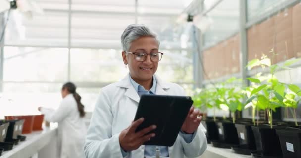Cientista Tablet Mulher Pesquisa Para Botânica Planta Feliz Estufa Ciência — Vídeo de Stock