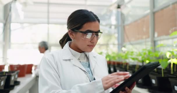 Tableta Věda Udržitelnost Ženou Skleníku Studiu Růstu Rostlin Pro Ekologický — Stock video