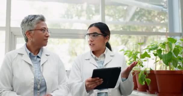 Tablet Naukowiec Praca Zespołowa Kobiet Badań Botanicznych Mentora Studenta Dyskusji — Wideo stockowe