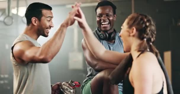 快乐的男人 朋友和高五在团队健身或锻炼 动机或健身房在一起 为了运动训练 健康的身体健康或团体的目标而成功地牵手的人 — 图库视频影像