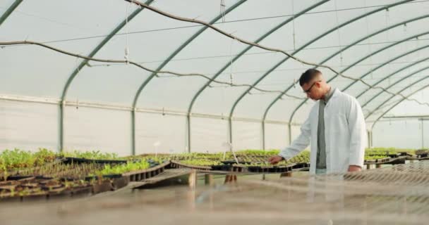 Científico Hombre Plantas Efecto Invernadero Agricultura Inspección Agricultura Garantía Calidad — Vídeos de Stock