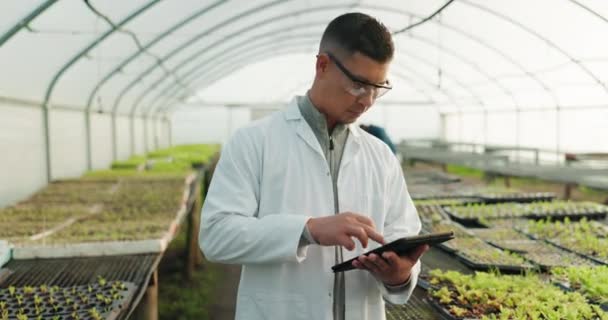 Bilim Adamı Insan Tablet Sera Bitkileri Tarım Veya Tarım Denetimi — Stok video