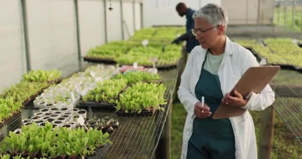 植物検査 クリップボード 科学女性が農場研究 エコガーデン品質保証 農業分析を行っています コンプライアンス調査 成熟した科学者が温室効果ガスの進捗状況を確認 — ストック動画