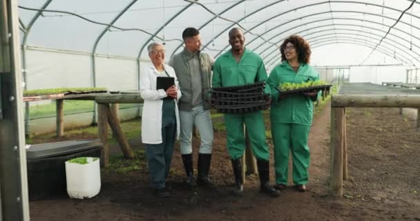 Zemědělství Týmová Práce Skleník Lidmi Farmě Pro Kontrolu Kvality Životní — Stock video