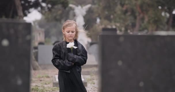 Blume Tod Oder Kind Auf Dem Friedhof Zur Beerdigung Geistlicher — Stockvideo