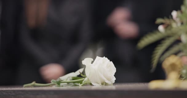 Κηδεία Τριαντάφυλλο Και Λουλούδι Στο Φέρετρο Στο Νεκροταφείο Για Υπαίθρια — Αρχείο Βίντεο