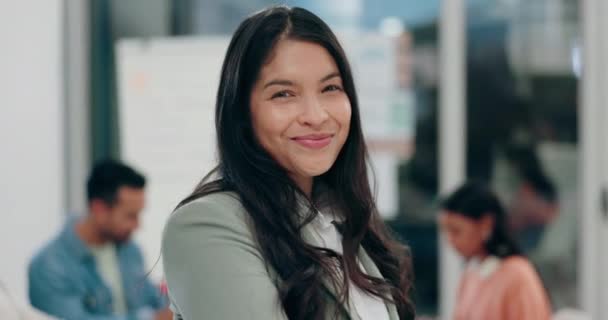Uśmiech Menedżer Biznes Kobietą Spotkaniu Dla Planowania Zarządzania Projektami Strategii — Wideo stockowe