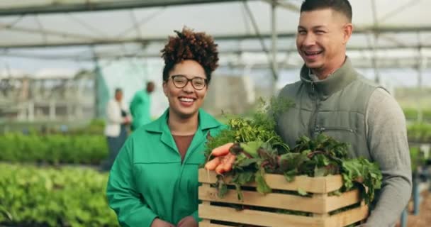 Zemědělská Týmová Zeleninová Bedna Pro Zemědělství Udržitelnost Nebo Zemědělství Skleníkovém — Stock video