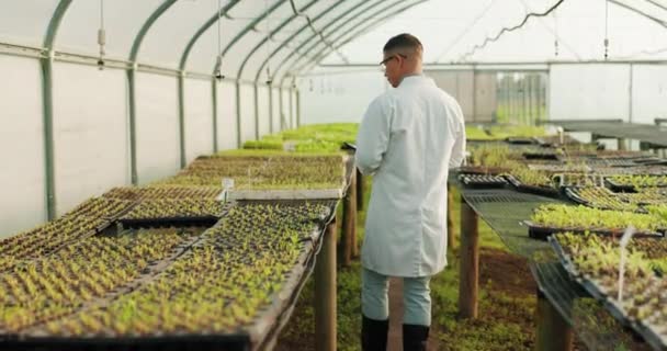 Fazenda Vegetal Tablet Homem Caminham Fazendo Pesquisa Científica Jardim Ecológico — Vídeo de Stock