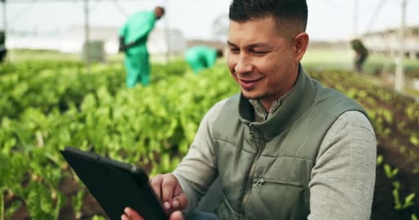 Agricultor Tablet Estufa Agricultura Agricultura Inspeção Plantas Com Gerenciamento Dados — Vídeo de Stock
