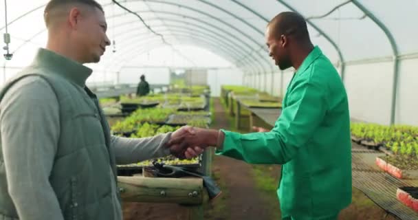 为温室植物 农业或园艺提供农民 团队和握手的介绍和欢迎 B2B为农业交易 供应链和农业企业握手的个人或企业家 — 图库视频影像