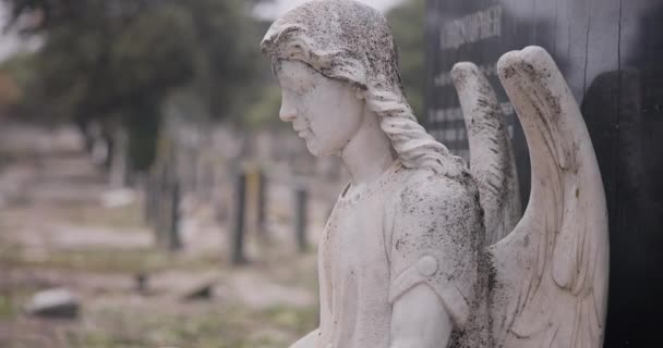 Statue Ange Sépulture Pierre Tombale Dans Cimetière Pour Cérémonie Mort — Video