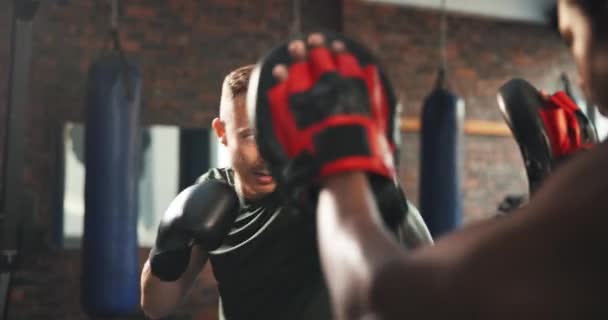Entrenador Deportivo Entrenador Fitness Boxeador Entrenamiento Puñetazos Aprendizaje Habilidades Lucha — Vídeo de stock