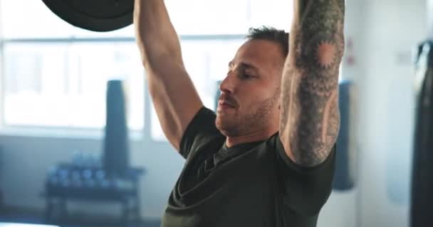 Männer Langhantel Und Pressübungen Fitnessstudio Für Workout Functional Training Oder — Stockvideo
