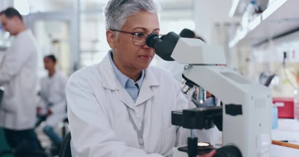 新しい発見や研究における法医学 分析またはデータにおけるシニア女性 科学者 顕微鏡 成熟した女性人 医療または医療専門家が科学研究室の範囲を検討 — ストック動画