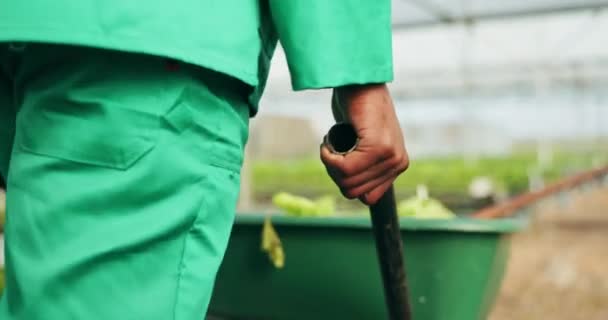 Rolnictwo Gospodarstwo Ręce Osób Taczki Szklarni Dla Zrównoważonego Rozwoju Roślin — Wideo stockowe