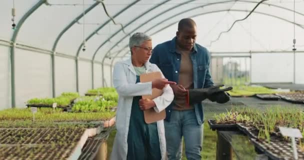 Sera Sebze Çiftçisi Bilim Adamı Fabrikaları Kontrol Ediyor Tarımsal Büyüme — Stok video