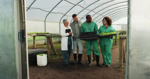 Landwirt Teamwork Und Gewächshauspflanzen Landwirtschaft Und Nachhaltigkeitszusammenarbeit Für Den Gartenbau — Stockvideo