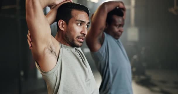 Erkekler Spor Salonunda Güçlü Vücut Kas Gelişimi Güç Dengesi Için — Stok video