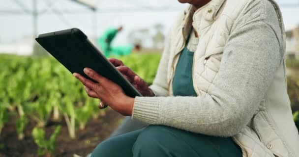 Greenhouse Research Woman Hands Tablet Sustainable Small Business Sales Agriculture — Stock Video