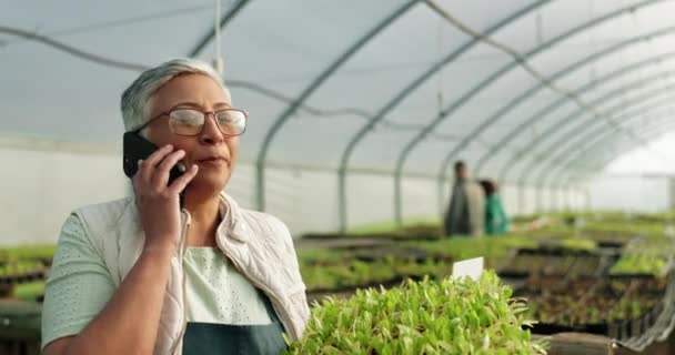 Üvegház Telefonhívás Zöldségekkel Fenntartható Kisvállalkozásoknál Mezőgazdaságban Kommunikáció Növekedést Szolgáló Ellátási — Stock videók