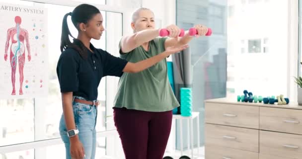 医療コンサルティング 筋肉リハビリテーションのためのダンベルを持つシニア女性 理学療法士 カイロプラクティックヒーリングのための重量で生理療法 ストレッチ — ストック動画