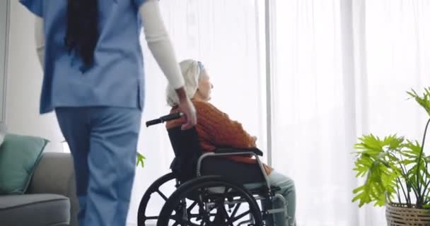 窓からシニア女性 車椅子 看護師 サポート 退職後のケアのための考え 介護者 介護者 障害者 リハビリテーションに満足している方 — ストック動画