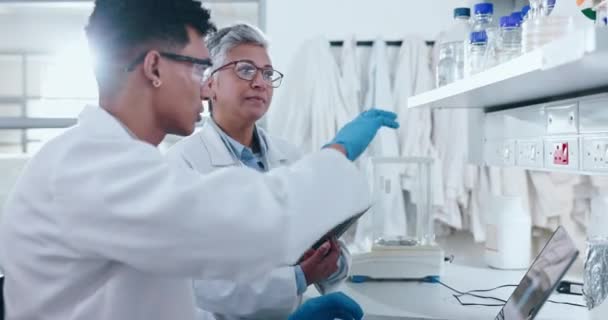 科学者および棚の化学装置の在庫の点検は実験室で一緒に 研究室の科学製品に関する議論における男女 医療または医療専門家 — ストック動画