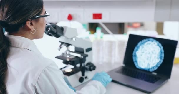 Наука Ноутбук Микроскоп Студентом Лаборатории Исследований Инноваций Медицинского Прорыва Медицина — стоковое видео