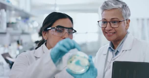Ciencia Mentor Placa Petri Con Personas Laboratorio Para Aprendizaje Médico — Vídeos de Stock