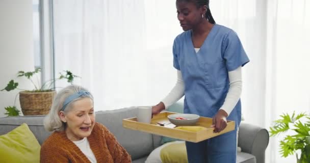 Senior Mulher Enfermeira Chá Para Cuidados Domiciliares Apoio Conversa Com — Vídeo de Stock