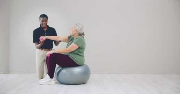 Physiotherapie Gymnastikball Und Patientin Chiropraktiker Und Gewichtheben Mit Kurzhanteln Absprache — Stockvideo
