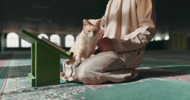 Мусульманин Человек Кот Мечети Время Молитвы Поклонения Комфорта Время Чтения — стоковое видео