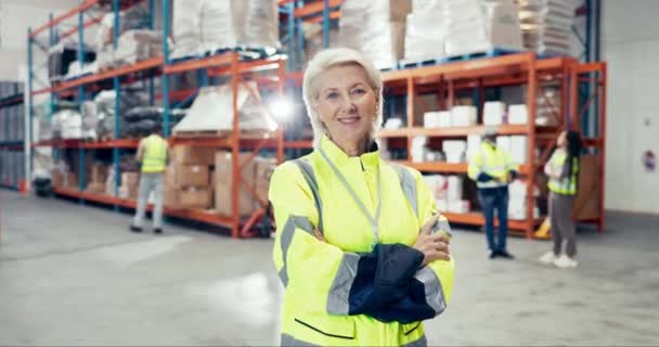 Kobieta Broń Skrzyżowane Magazyn Logistyka Lub Zapasy Magazynowanie Zarządzanie Przemysłowe — Wideo stockowe