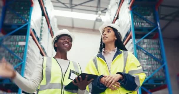 Vrouwen Logistiek Teamwork Tablet Magazijninspectie Commerce Training Voorraadbeheer Industriële Werknemer — Stockvideo